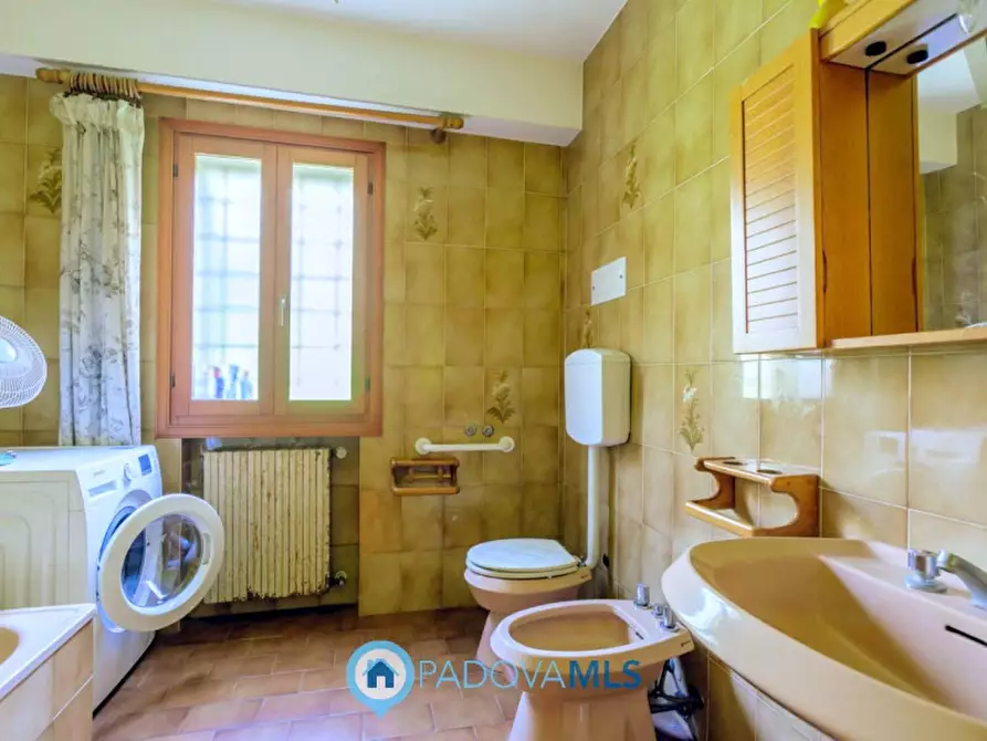 Immagine 31 di Rustico / casale in vendita  in Via Sassoni a Cinto Euganeo