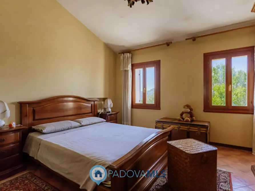 Immagine 38 di Rustico / casale in vendita  in Via Sassoni a Cinto Euganeo