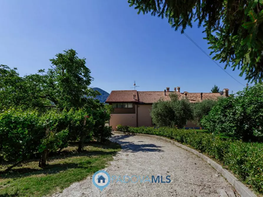 Immagine 44 di Rustico / casale in vendita  in Via Sassoni a Cinto Euganeo