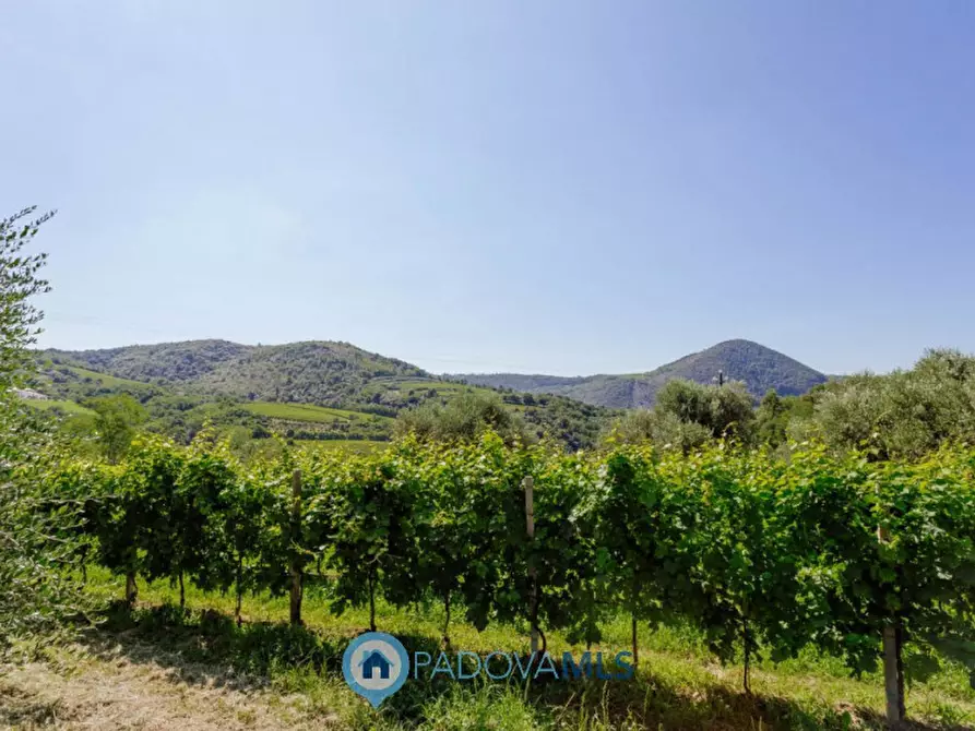 Immagine 49 di Rustico / casale in vendita  in Via Sassoni a Cinto Euganeo