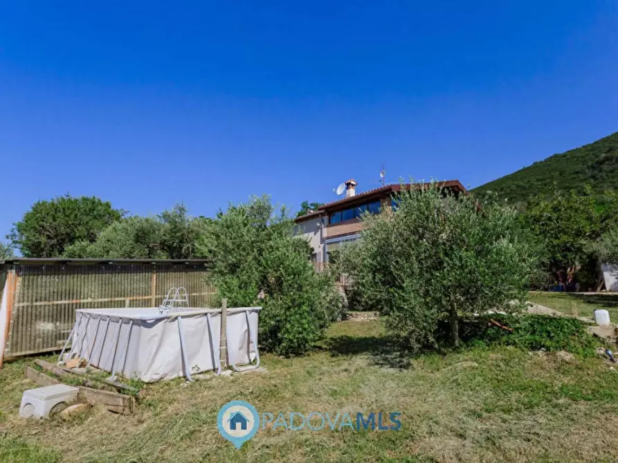 Immagine 50 di Rustico / casale in vendita  in Via Sassoni a Cinto Euganeo