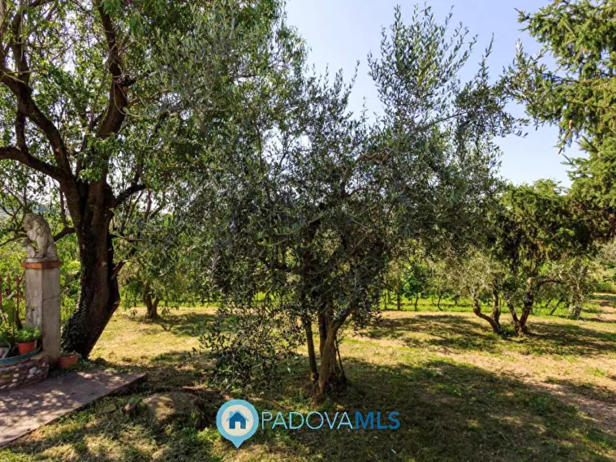 Immagine 52 di Rustico / casale in vendita  in Via Sassoni a Cinto Euganeo