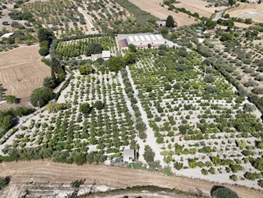 Immagine 2 di Terreno in vendita  in sc monterotondo a Giarratana