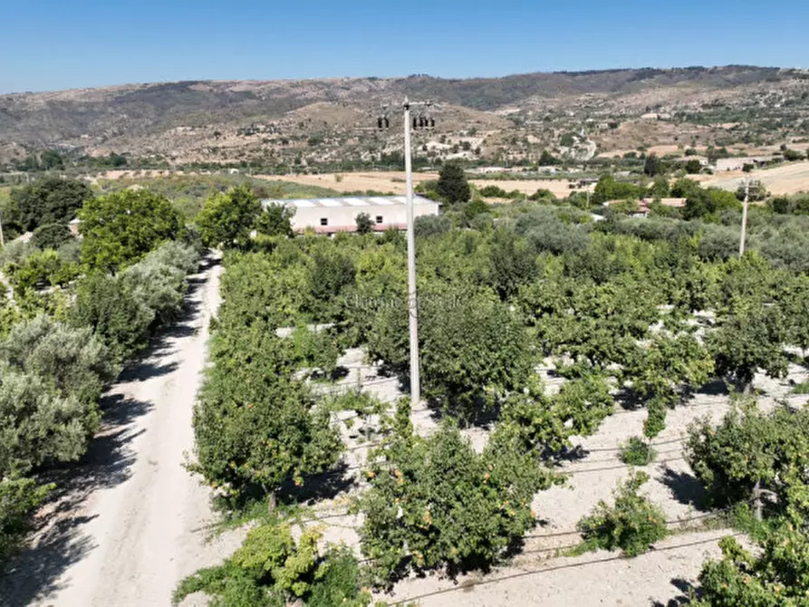 Immagine 3 di Terreno in vendita  in sc monterotondo a Giarratana
