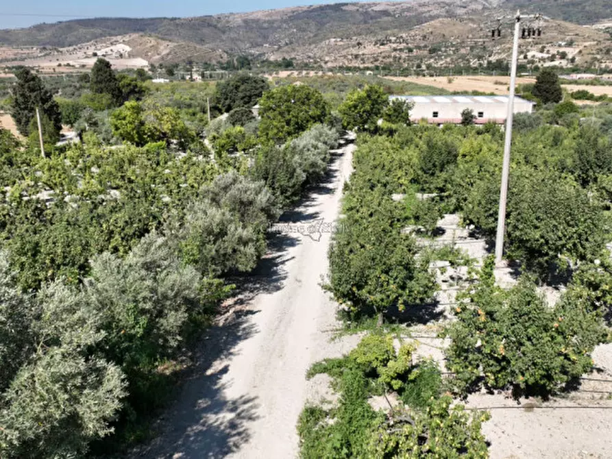 Immagine 4 di Terreno in vendita  in sc monterotondo a Giarratana