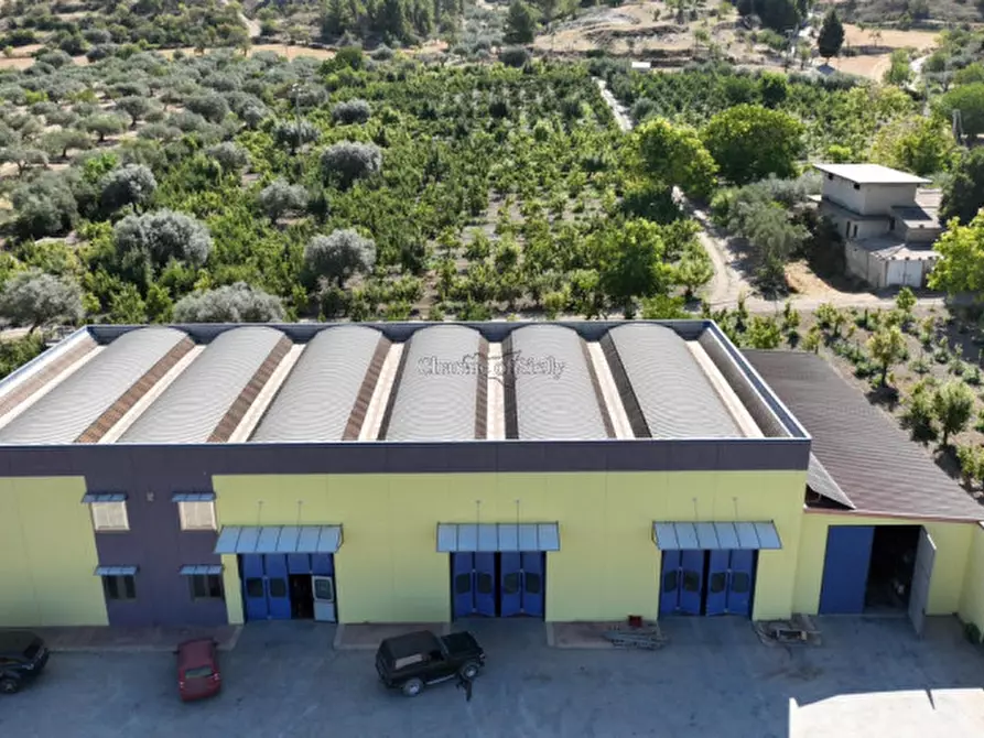 Immagine 6 di Terreno in vendita  in sc monterotondo a Giarratana