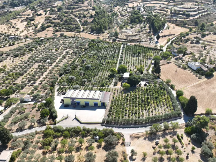 Immagine 9 di Terreno in vendita  in sc monterotondo a Giarratana