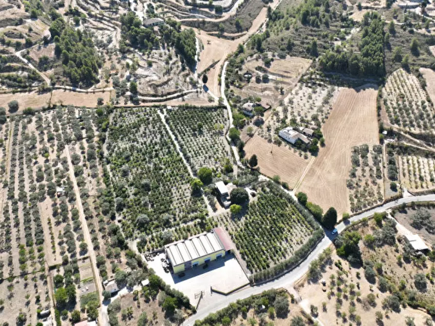 Immagine 13 di Terreno in vendita  in sc monterotondo a Giarratana