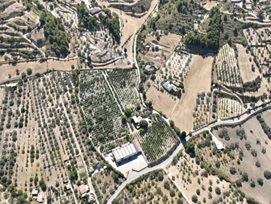 Immagine 14 di Terreno in vendita  in sc monterotondo a Giarratana