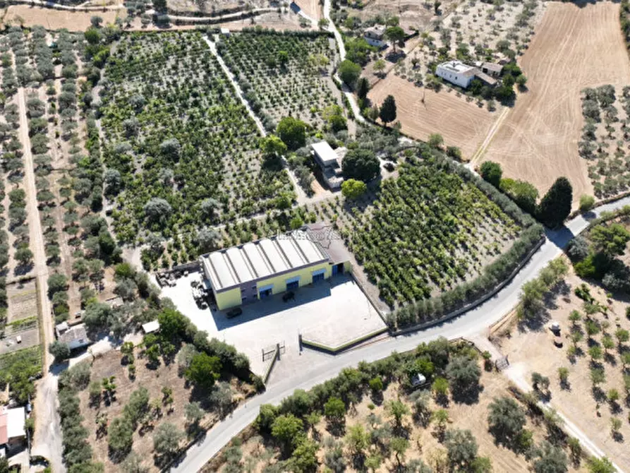 Immagine 16 di Terreno in vendita  in sc monterotondo a Giarratana