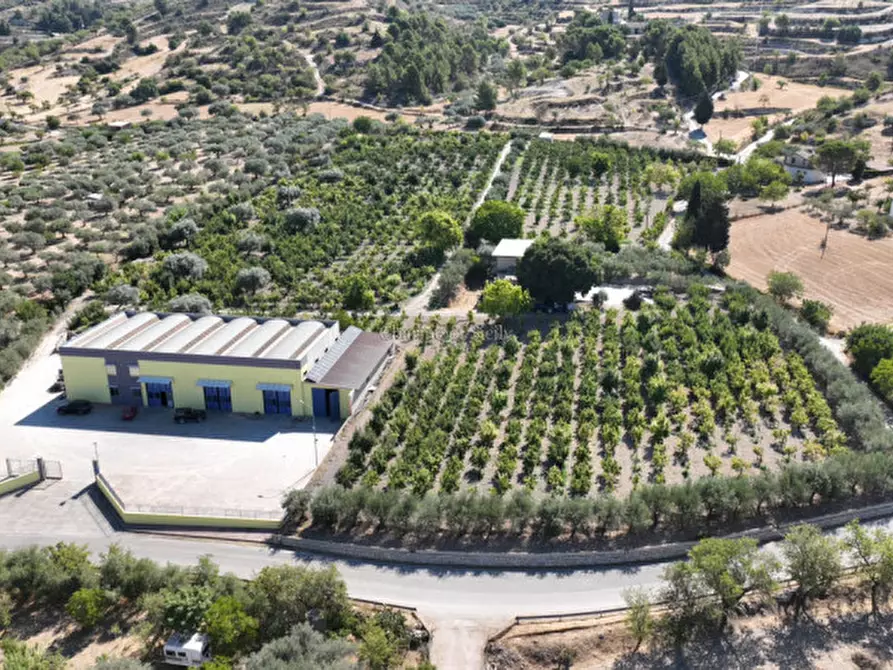 Immagine 17 di Terreno in vendita  in sc monterotondo a Giarratana