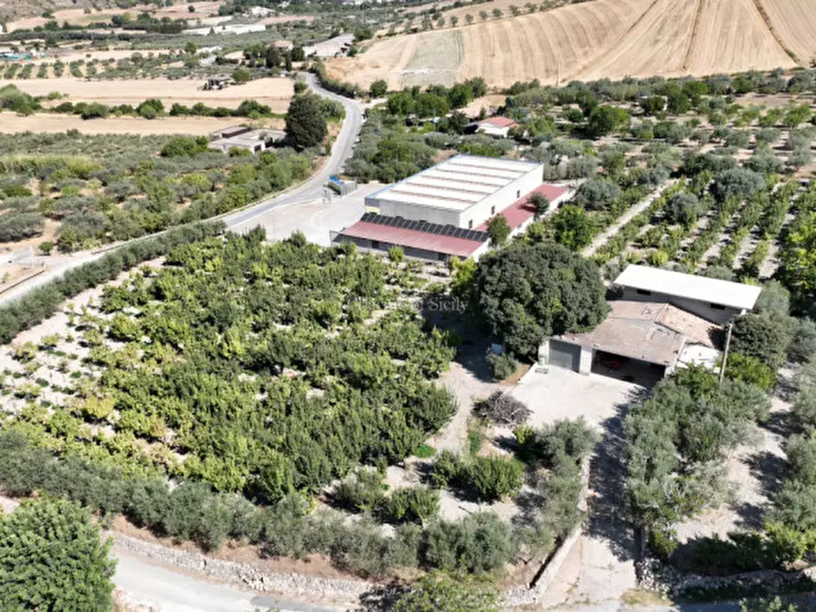 Immagine 18 di Terreno in vendita  in sc monterotondo a Giarratana