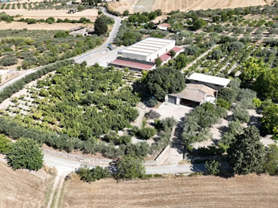 Immagine 19 di Terreno in vendita  in sc monterotondo a Giarratana