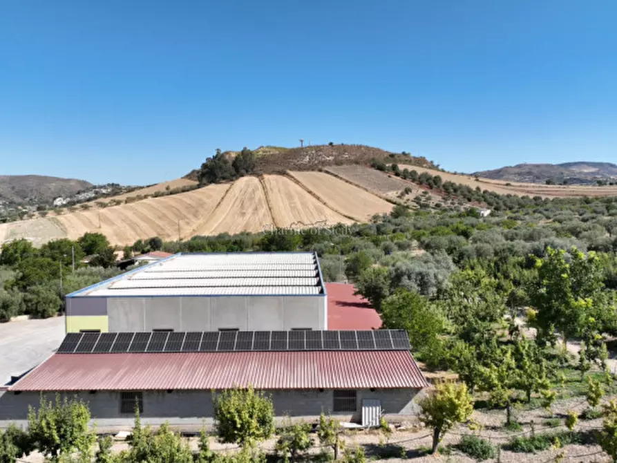 Immagine 20 di Terreno in vendita  in sc monterotondo a Giarratana