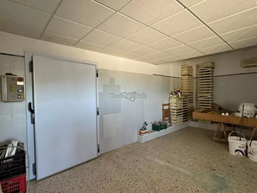 Immagine 21 di Terreno in vendita  in sc monterotondo a Giarratana