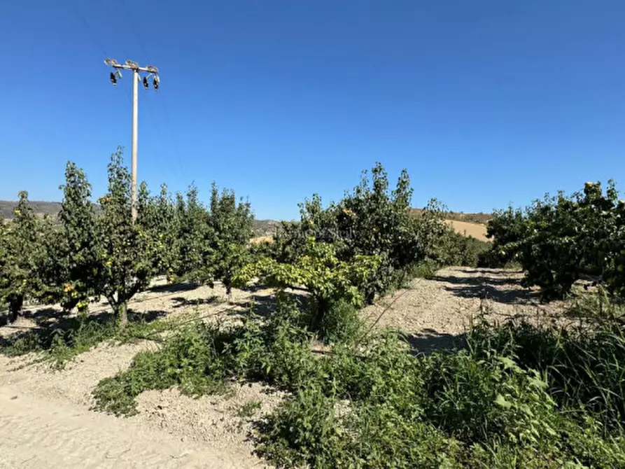 Immagine 32 di Terreno in vendita  in sc monterotondo a Giarratana