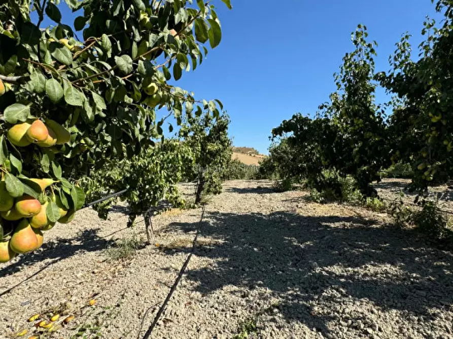 Immagine 37 di Terreno in vendita  in sc monterotondo a Giarratana