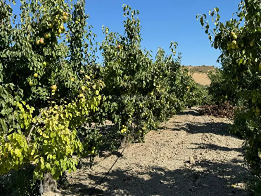 Immagine 45 di Terreno in vendita  in sc monterotondo a Giarratana