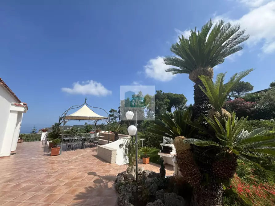 Immagine 3 di Villa in vendita  in via baiola 176 a Forio