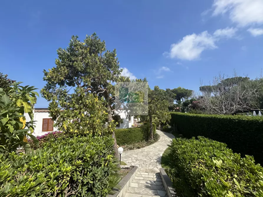 Immagine 6 di Villa in vendita  in via baiola 176 a Forio