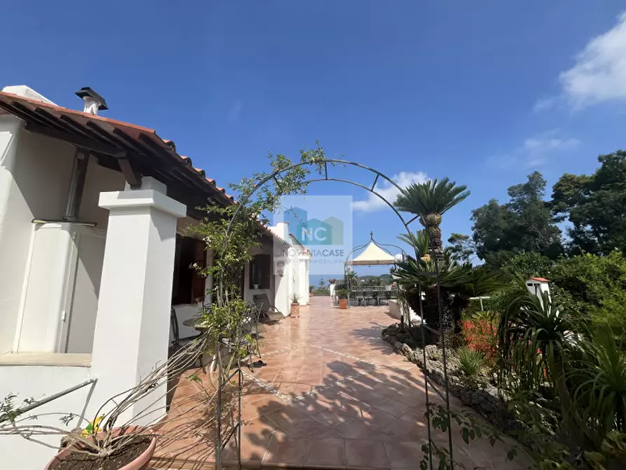 Immagine 9 di Villa in vendita  in via baiola 176 a Forio