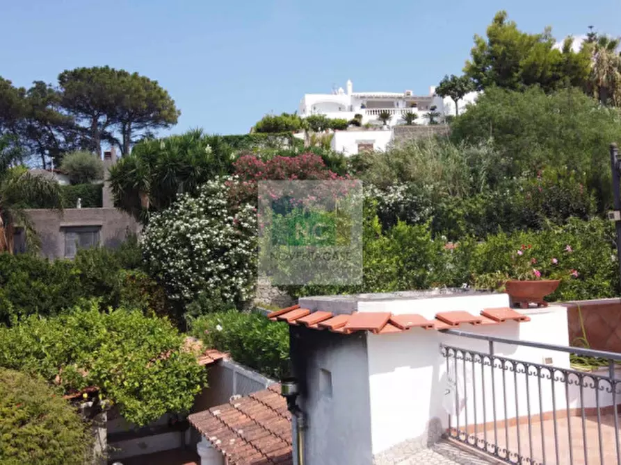 Immagine 26 di Villa in vendita  in via baiola 176 a Forio