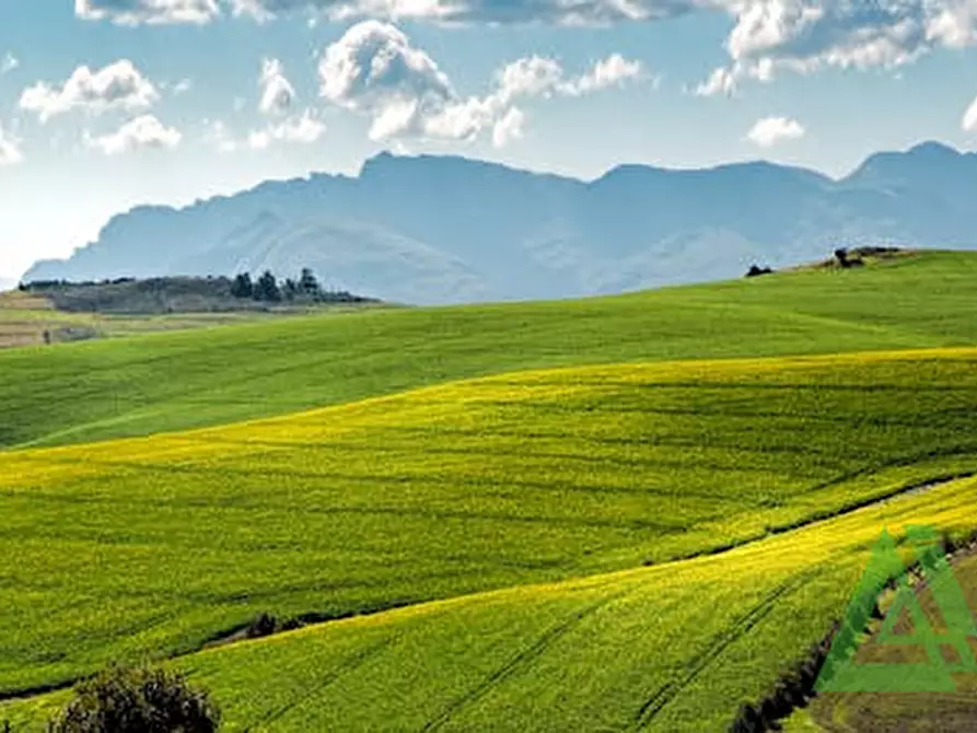 Immagine 1 di Terreno in vendita  a Castello Di Godego