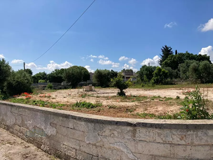 Immagine 1 di Terreno in vendita  in Contrada Fragnito a Ceglie Messapico