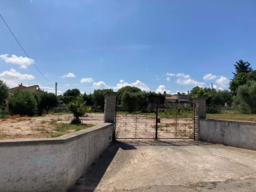Immagine 2 di Terreno in vendita  in Contrada Fragnito a Ceglie Messapico
