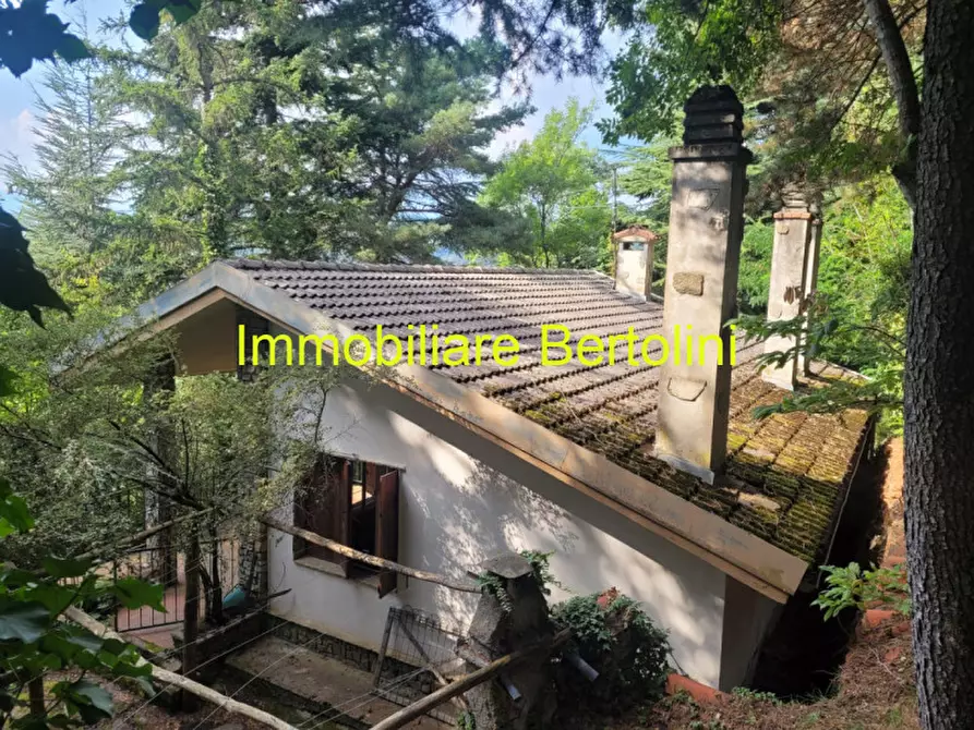 Immagine 4 di Casa indipendente in vendita  in Regione Nefiza a Baiardo