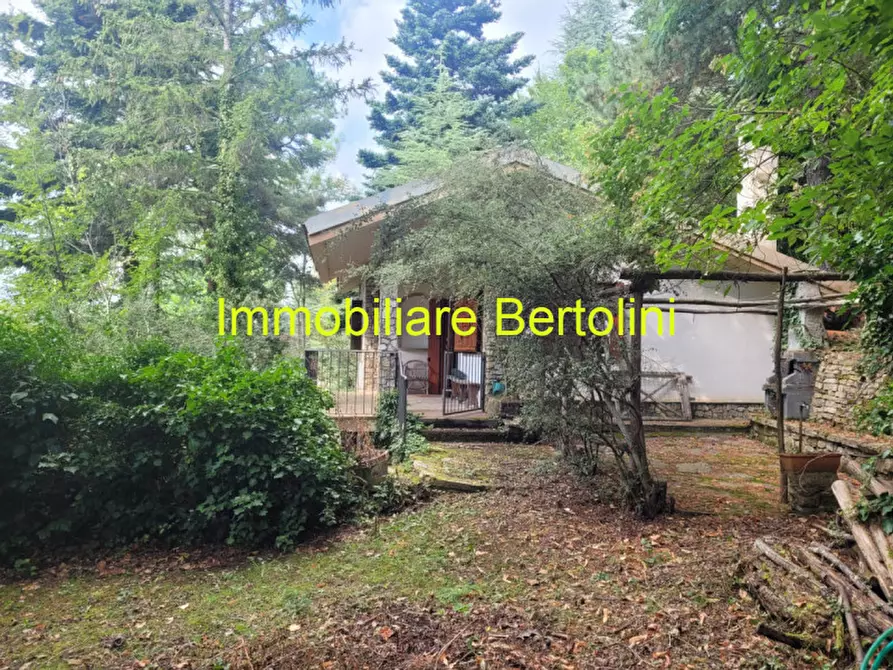 Immagine 8 di Casa indipendente in vendita  in Regione Nefiza a Baiardo