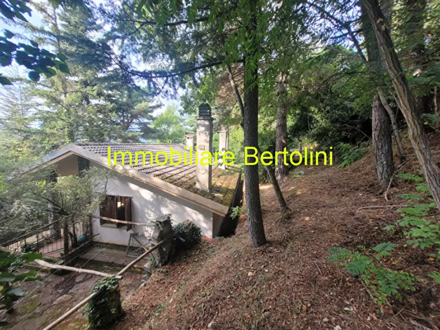 Immagine 9 di Casa indipendente in vendita  in Regione Nefiza a Baiardo