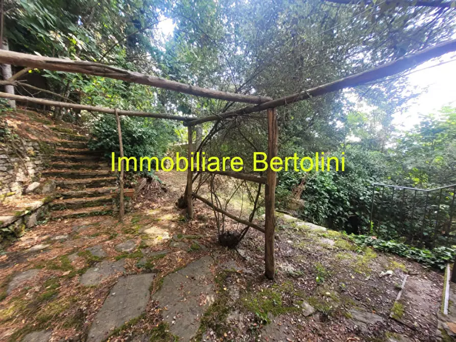 Immagine 10 di Casa indipendente in vendita  in Regione Nefiza a Baiardo