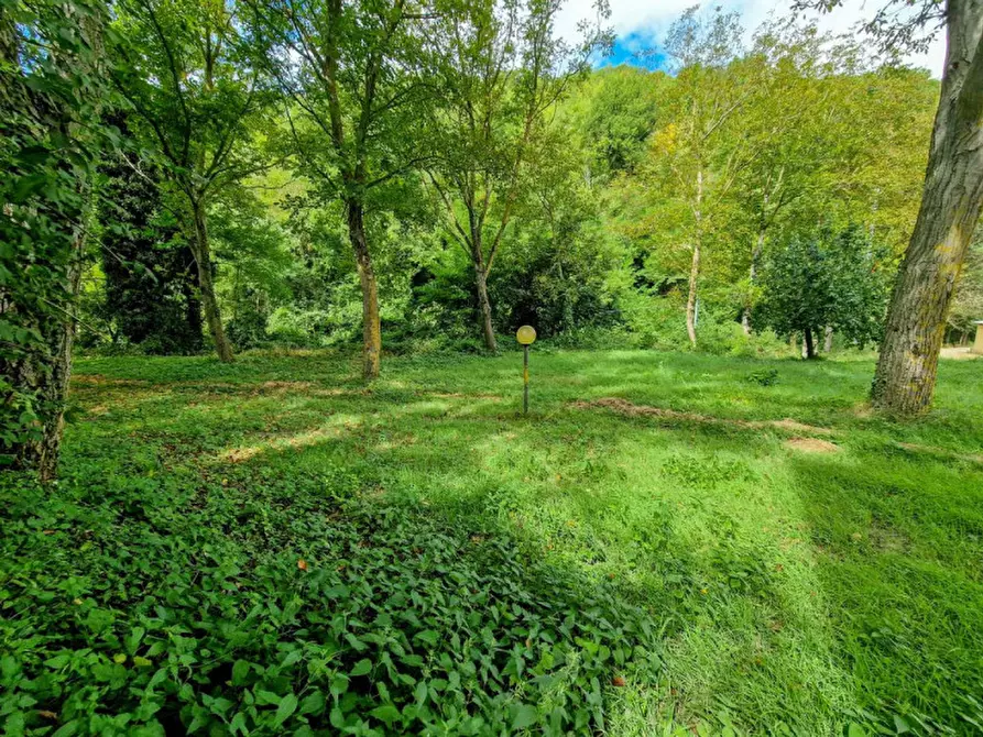 Immagine 20 di Casa indipendente in vendita  in via Palestina 15 a Macerata Feltria