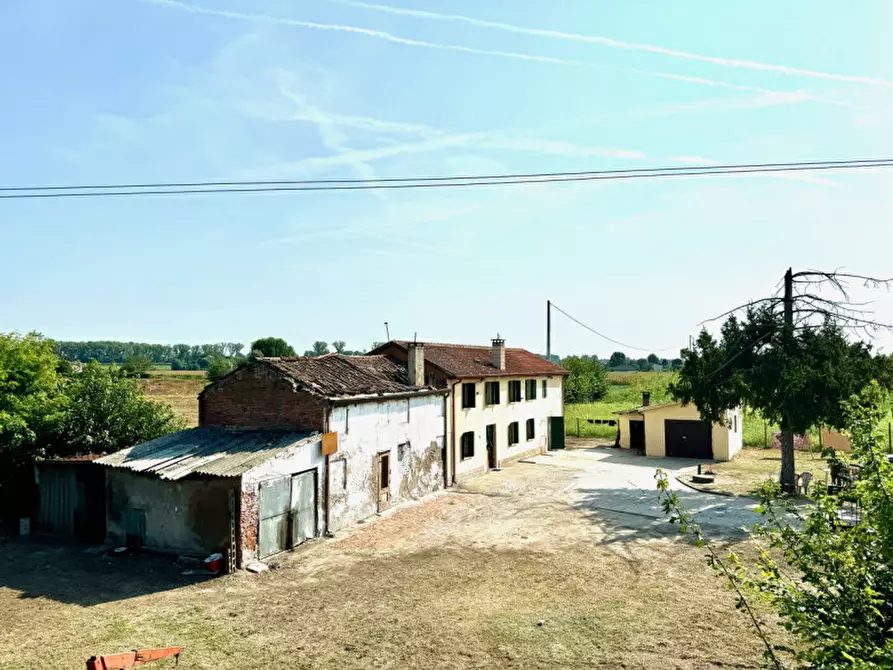 Immagine 1 di Rustico / casale in vendita  a Badia Polesine