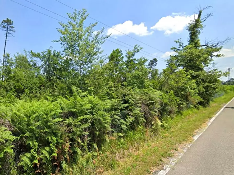 Immagine 1 di Terreno in vendita  in Via celle Pinete, N. Snc a Castelfranco Di Sotto