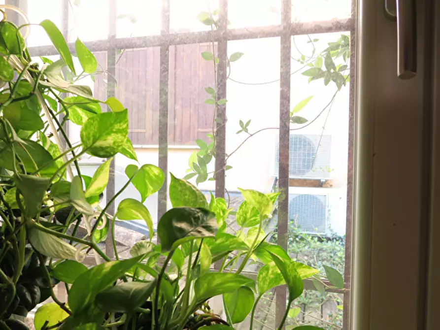 Immagine 22 di Camera in affitto  in Contra' San Pietro a Vicenza