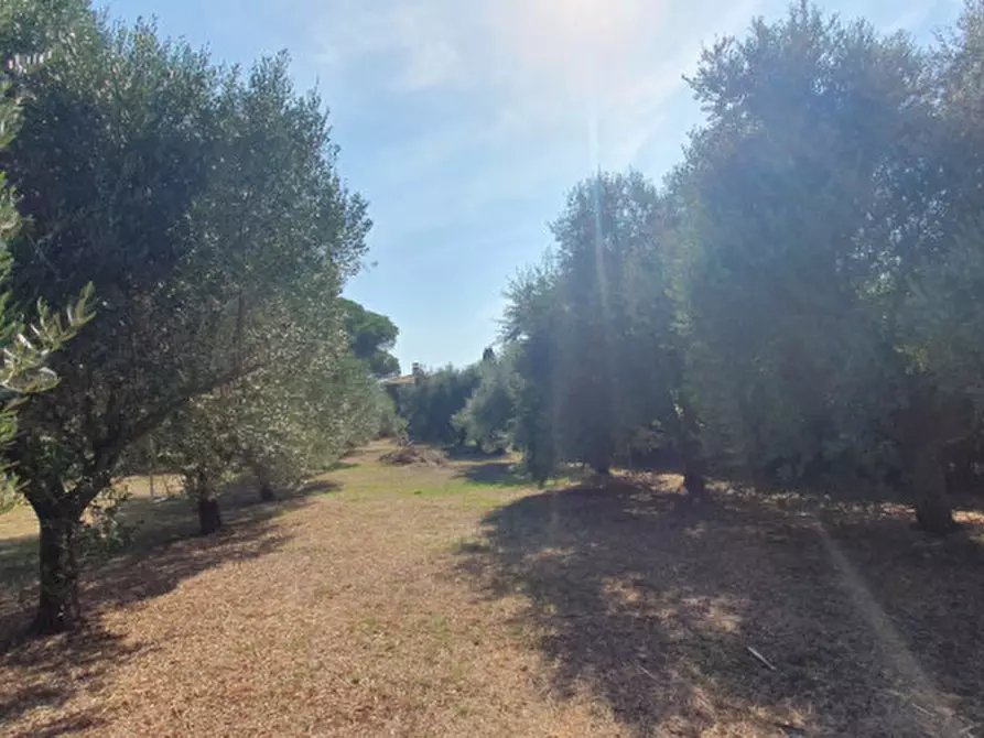 Immagine 40 di Villa in vendita  in Via di Fioranello a Roma