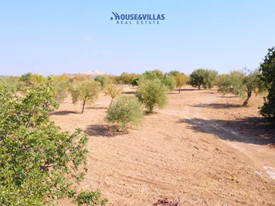 Immagine 2 di Terreno in vendita  in busulmone a Noto