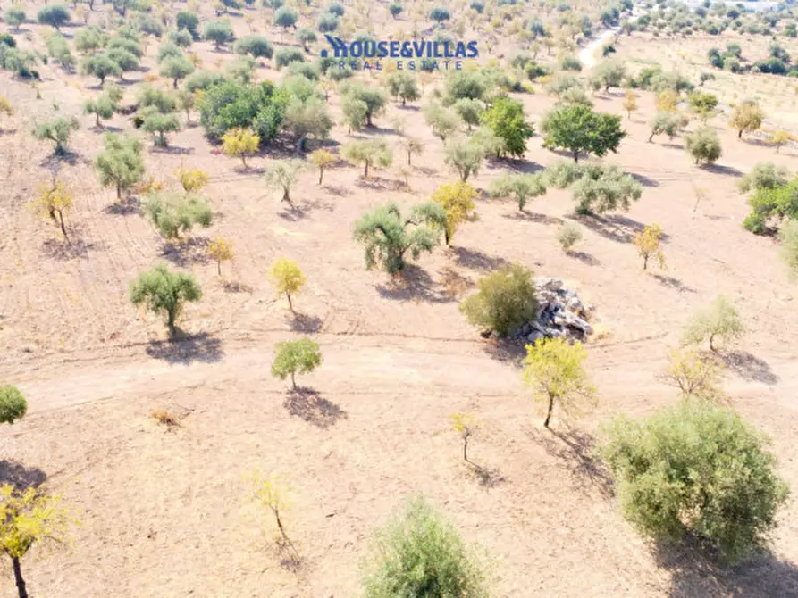 Immagine 5 di Terreno in vendita  in busulmone a Noto