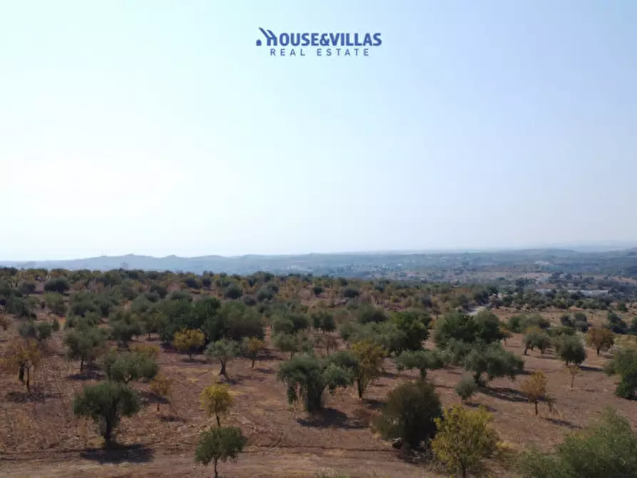 Immagine 6 di Terreno in vendita  in busulmone a Noto