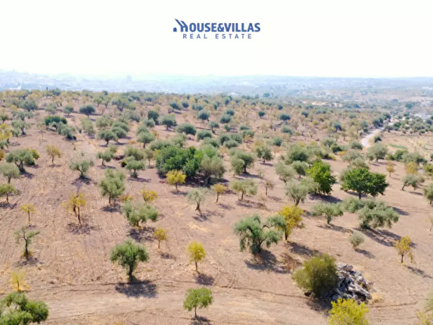 Immagine 7 di Terreno in vendita  in busulmone a Noto