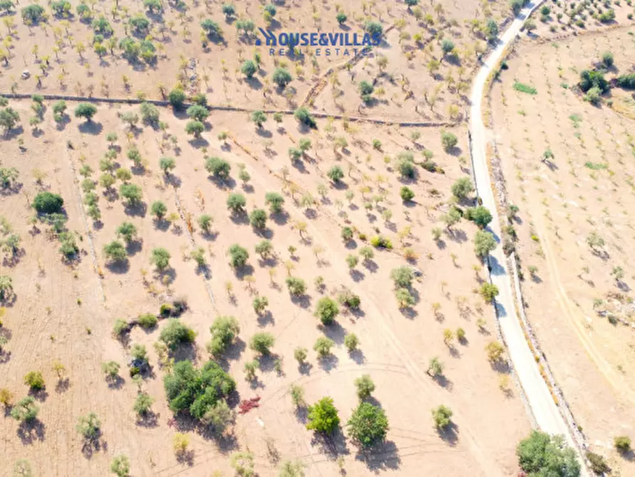 Immagine 13 di Terreno in vendita  in busulmone a Noto