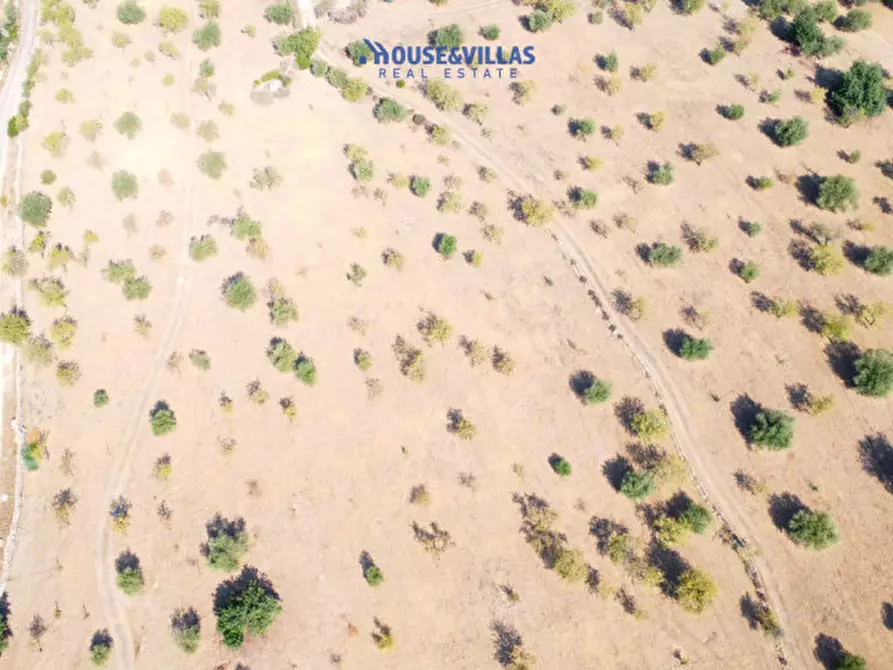 Immagine 14 di Terreno in vendita  in busulmone a Noto