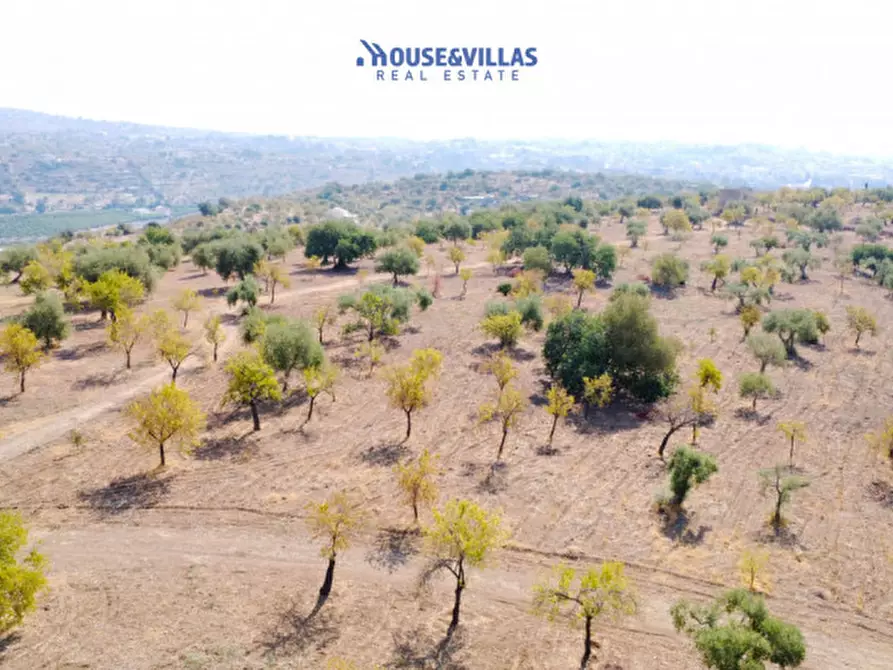 Immagine 15 di Terreno in vendita  in busulmone a Noto