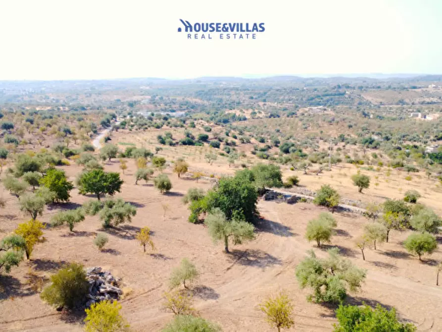 Immagine 16 di Terreno in vendita  in busulmone a Noto