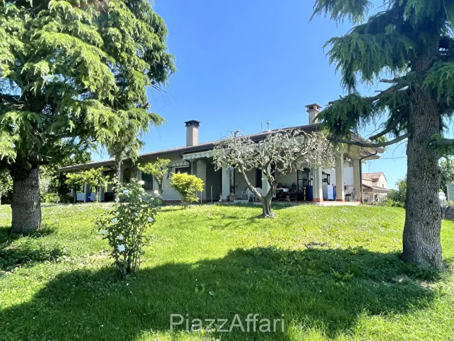 Immagine 1 di Casa bifamiliare in vendita  in Polverara Via Roma a Polverara