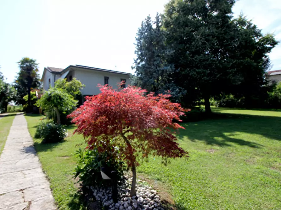 Immagine 1 di Casa indipendente in vendita  in Via Vittorio Veneto a Grisignano Di Zocco