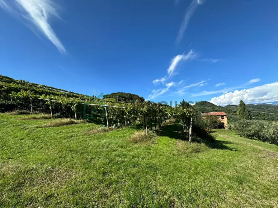 Immagine 10 di Rustico / casale in vendita  in Via Recoaretto a Soave