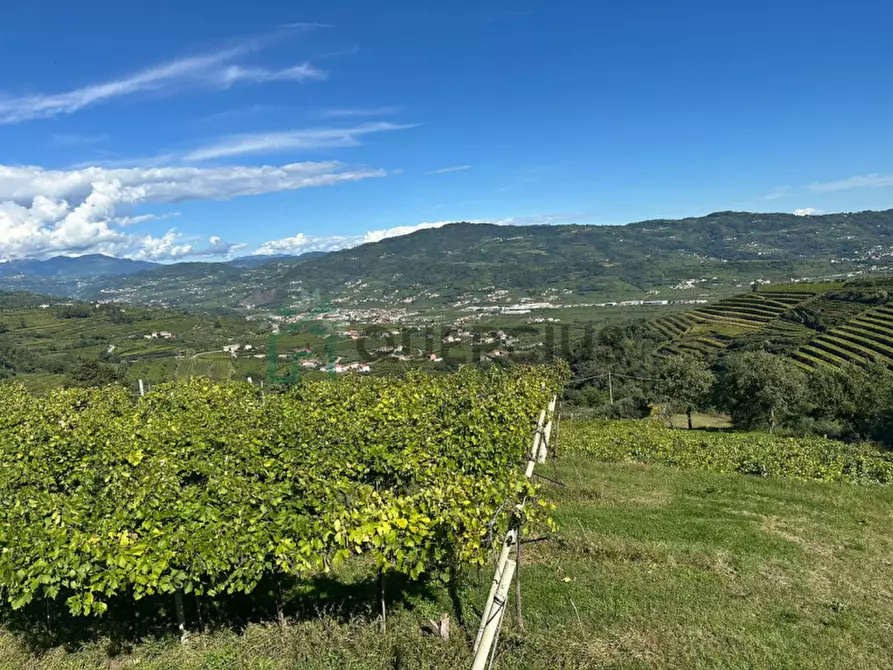 Immagine 11 di Rustico / casale in vendita  in Via Recoaretto a Soave